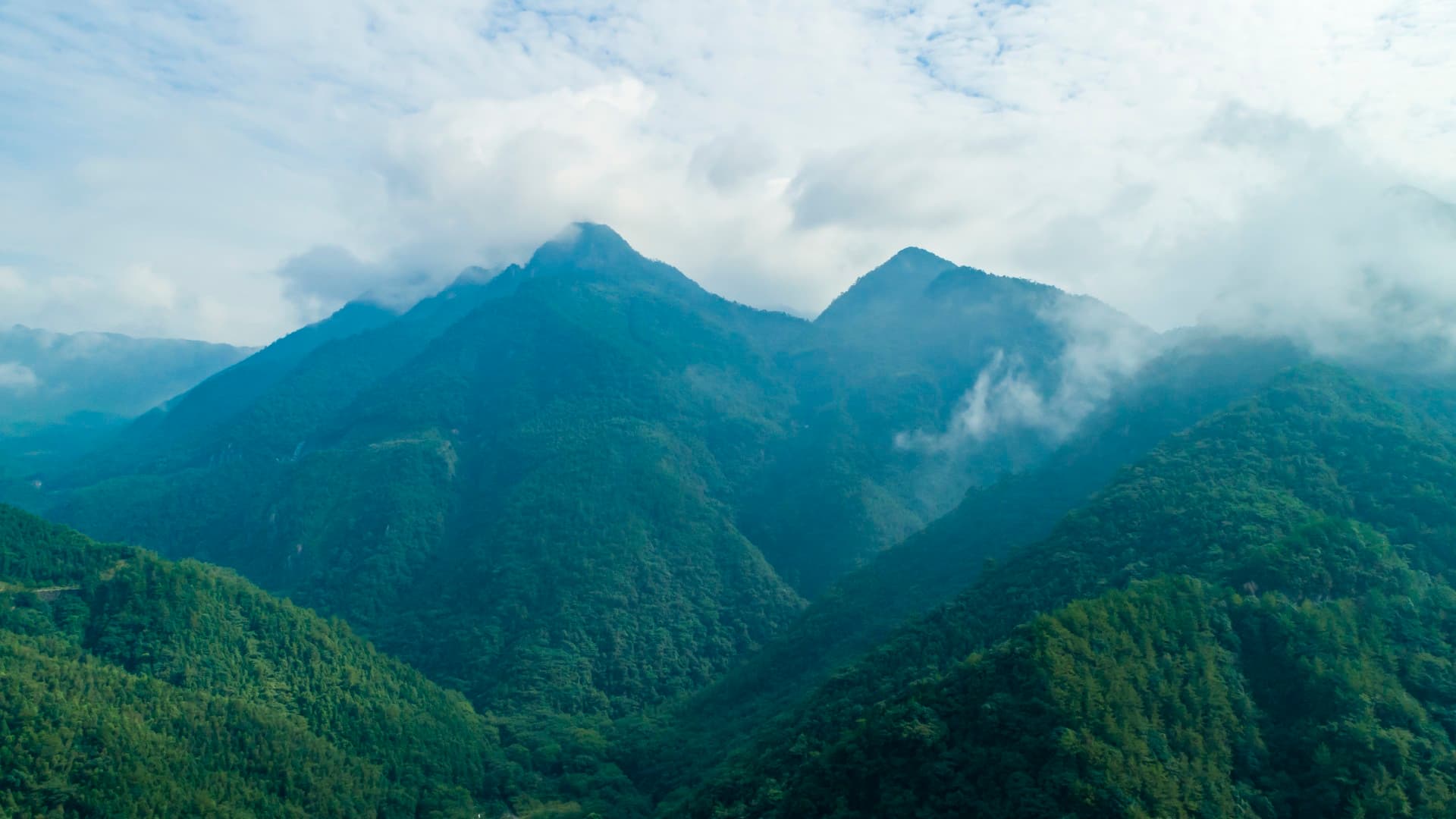 Forested mountains