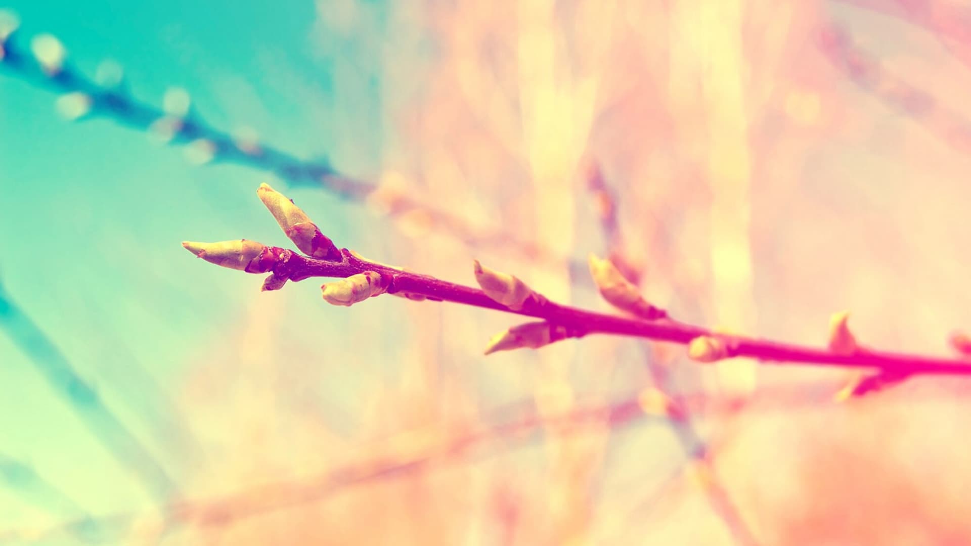 Spring Equinox background